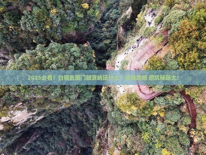 白银去厦门鼓浪屿哪里玩