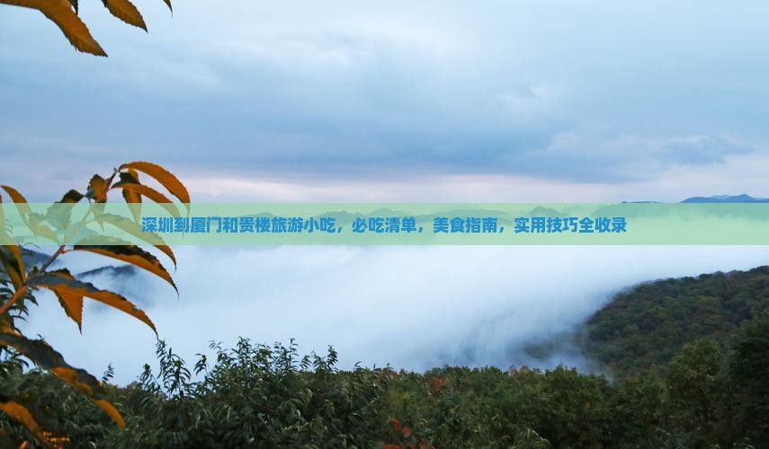深圳到厦门和贵楼旅游小吃
