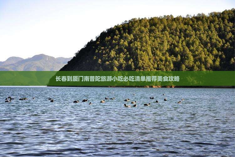 长春到厦门南普陀旅游小吃
