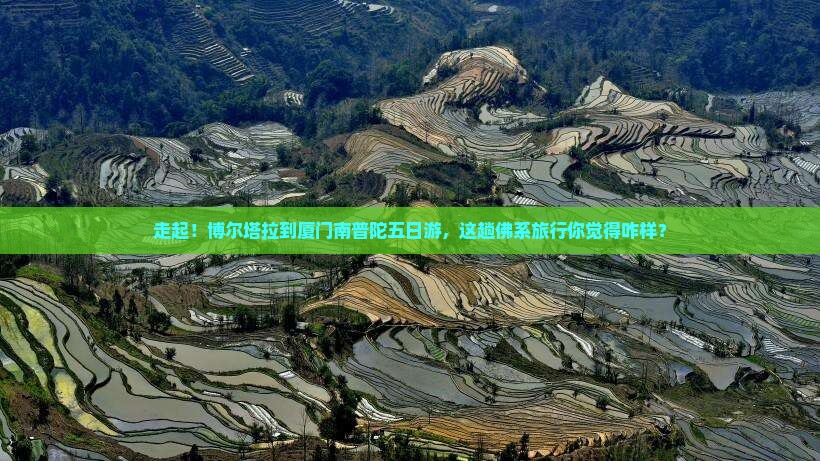 博尔塔拉去厦门南普陀五日游
