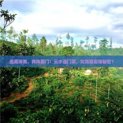 海南去厦门云水谣门票