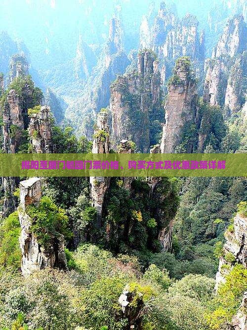 揭阳到厦门毓园门票