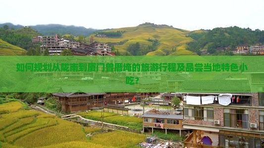 陇南到厦门曾厝埯旅游小吃