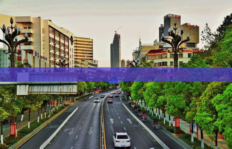 大丰到厦门景点