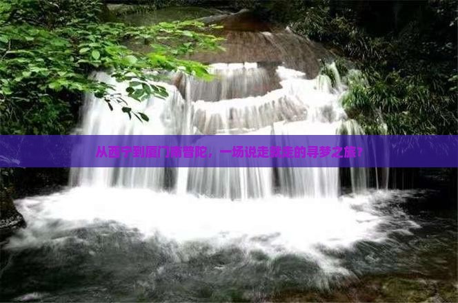 西宁去厦门南普陀大型旅游团