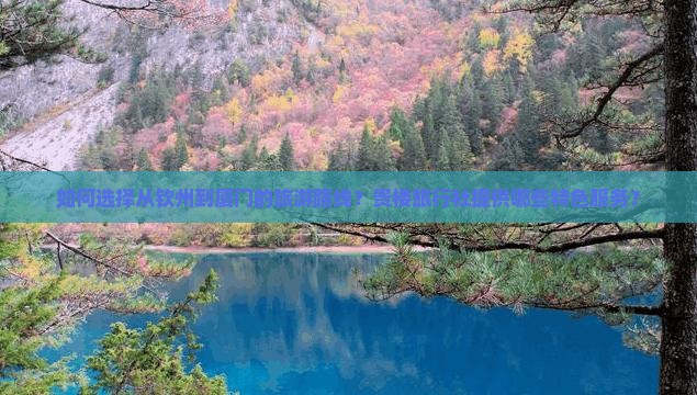 钦州到厦门和贵楼旅行社