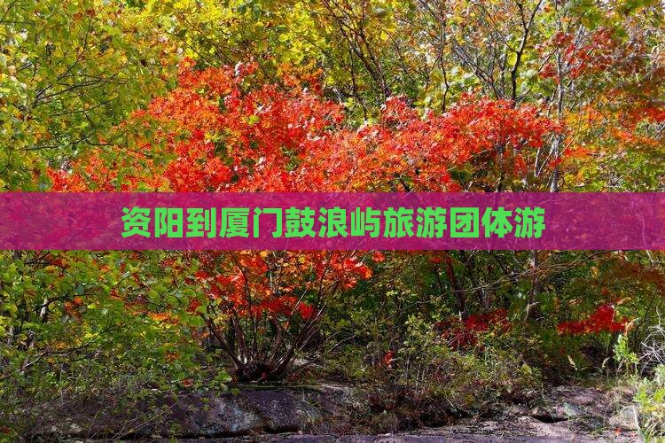 资阳到厦门鼓浪屿团体旅游
