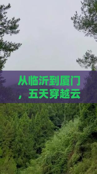 临沂到厦门云水谣五日游