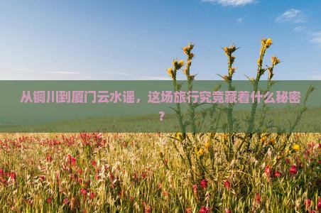 铜川到厦门云水谣旅游