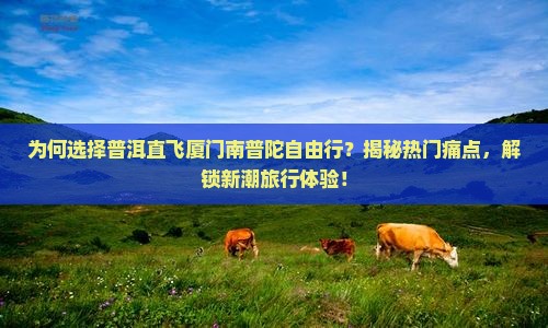 普洱去厦门南普陀自由行 普洱去厦门南普陀自由行