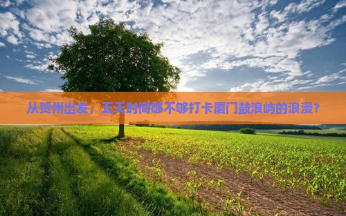 贺州到厦门鼓浪屿五日游