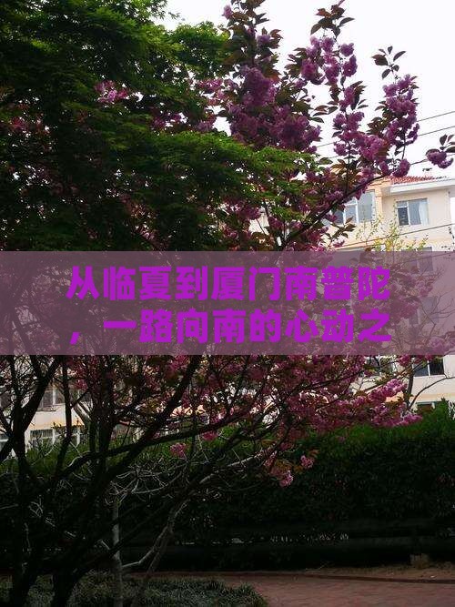 临夏到厦门南普陀景点