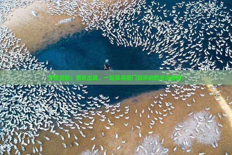 南京去厦门鼓浪屿旅行社