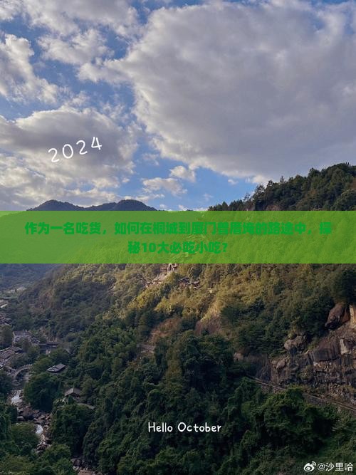 桐城到厦门曾厝埯旅游小吃