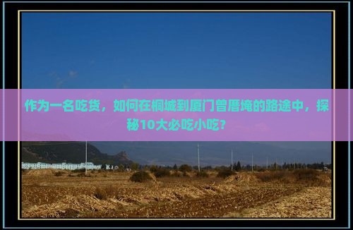 桐城到厦门曾厝埯旅游小吃