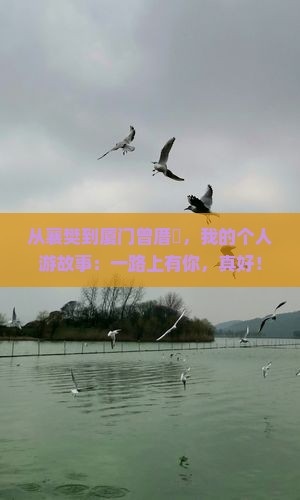襄樊到厦门曾厝埯个人游
