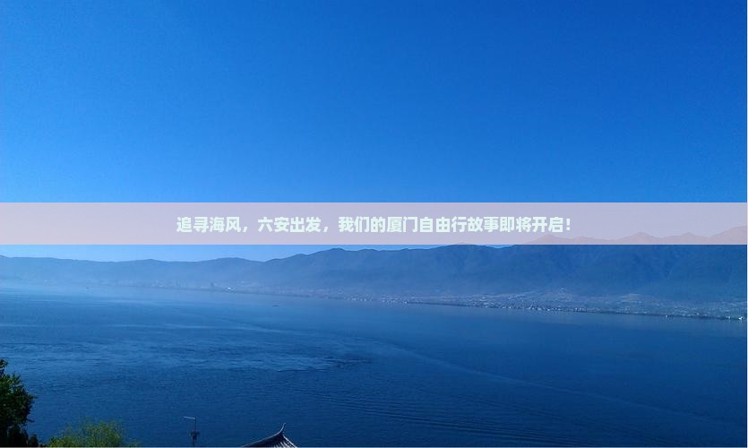 六安到厦门自由团