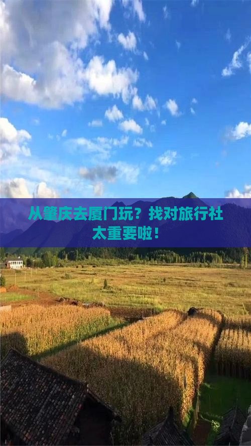 肇庆去厦门旅行社
