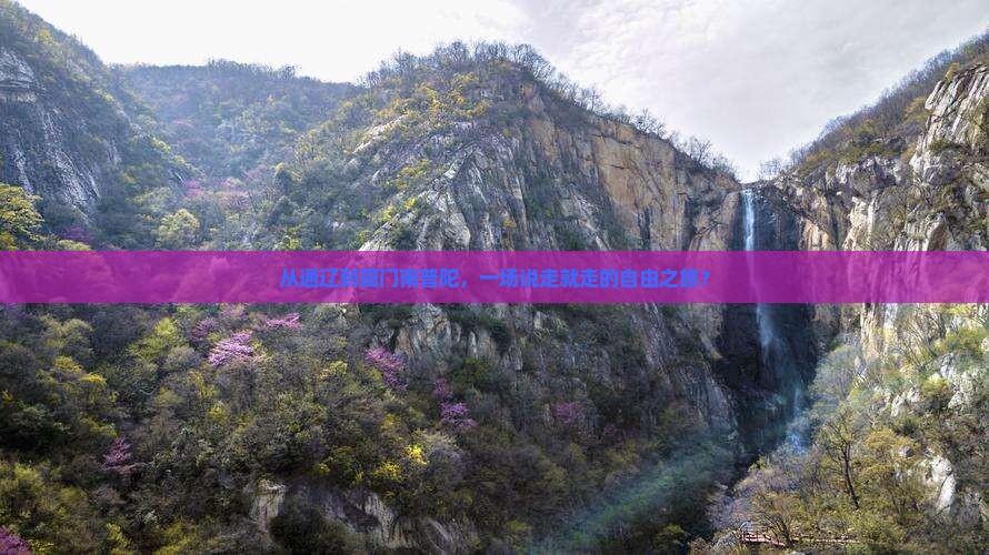 通辽到厦门南普陀自由团