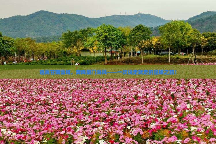 甘南去厦门景点