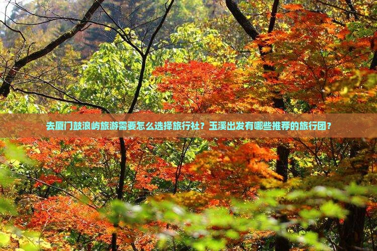 玉溪去厦门鼓浪屿旅行社