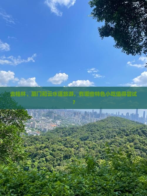 桂林去厦门云水谣旅游小吃