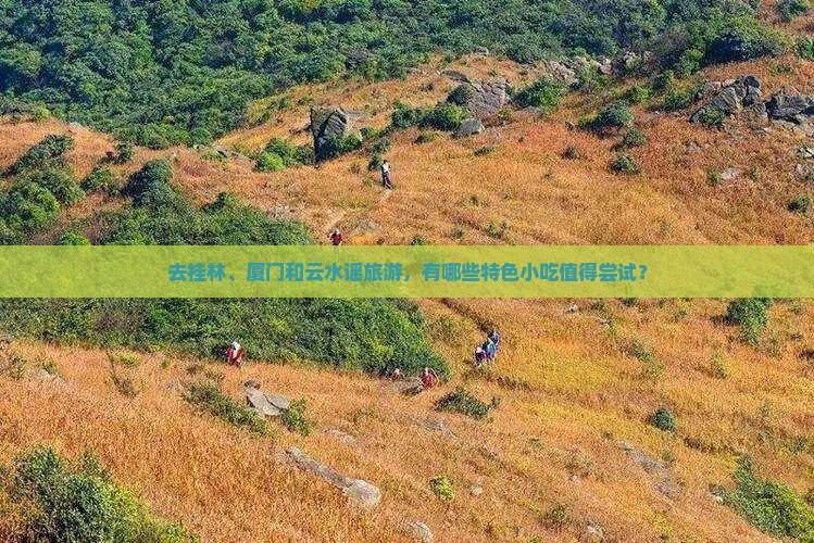 桂林去厦门云水谣旅游小吃