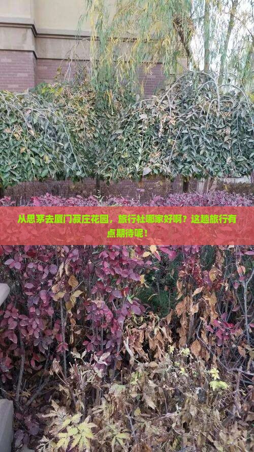 思茅到厦门菽庄花园旅行社