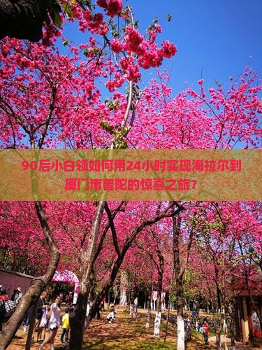 海拉尔到厦门南普陀一日