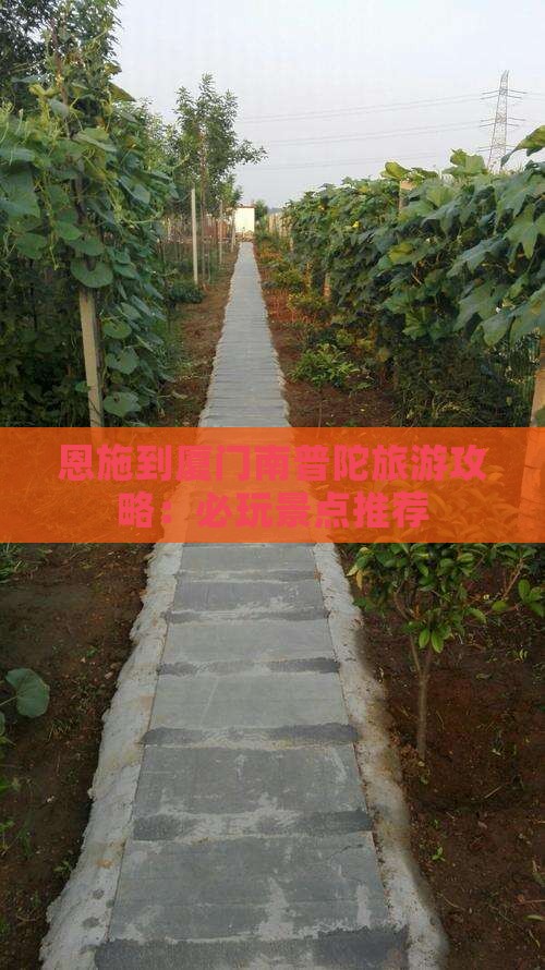 恩施去厦门南普陀哪里玩