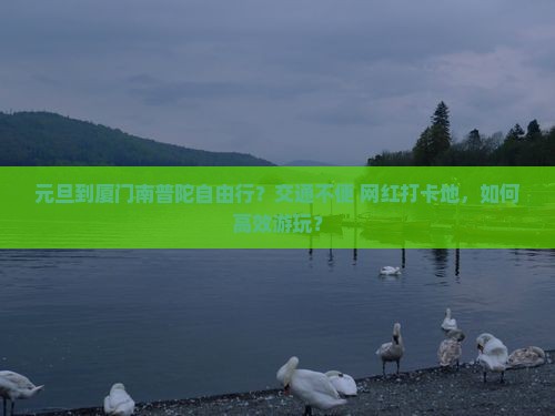 元旦到厦门南普陀自由行