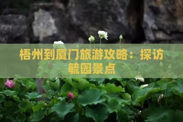 梧州到厦门毓园景点
