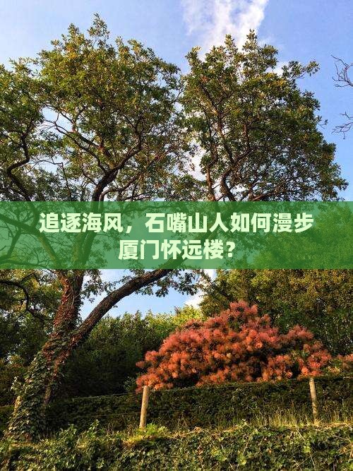 石嘴山去厦门怀远楼旅行社