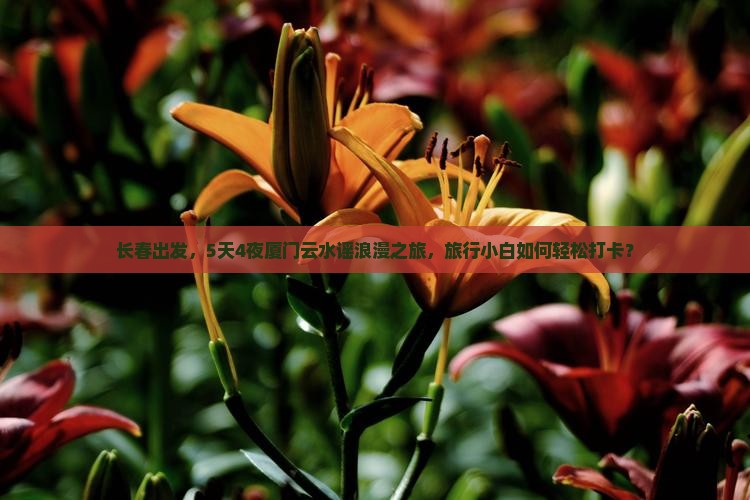 长春去厦门云水谣景点
