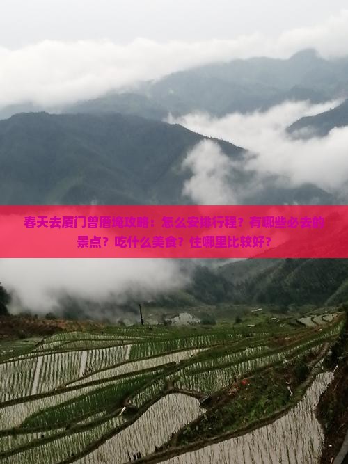 春天去厦门曾厝埯攻略