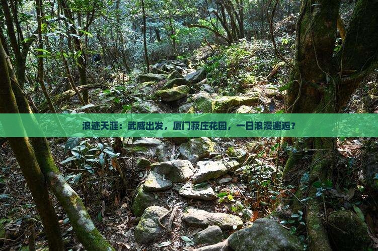 武威去厦门菽庄花园一日