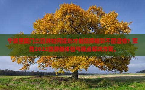 宁波到厦门三日游