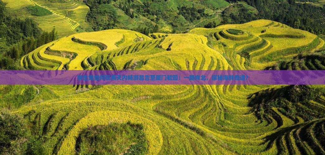 昌吉到厦门毓园二日游