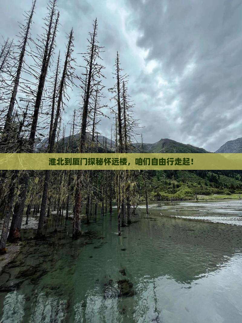 淮北去厦门怀远楼自由团