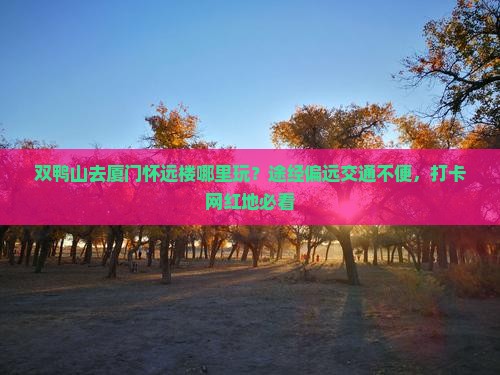 双鸭山去厦门怀远楼哪里玩