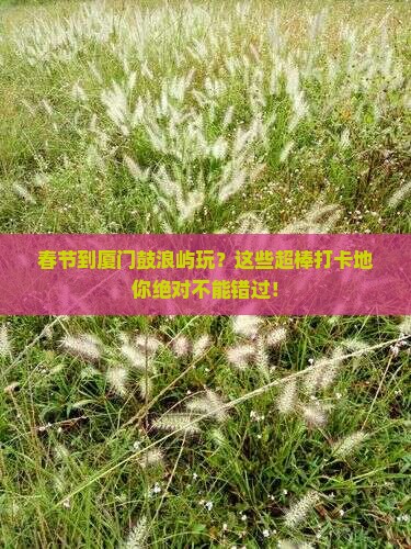 春节到厦门鼓浪屿必去地
