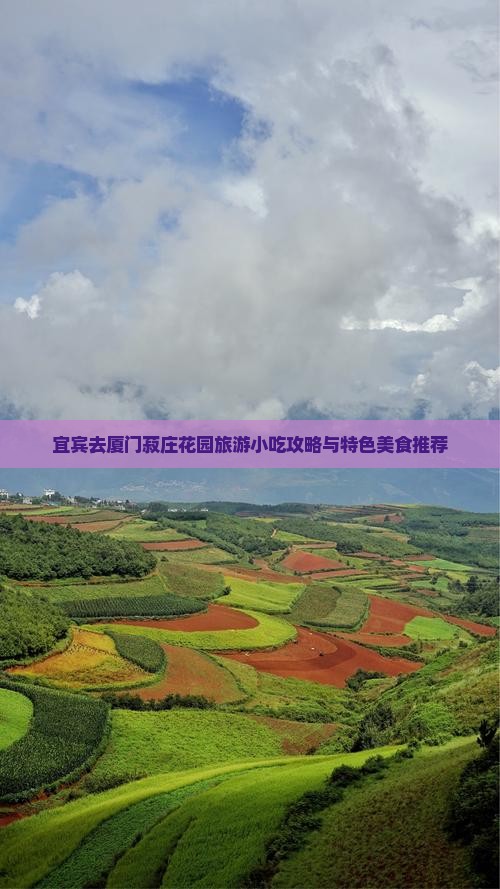 宜宾去厦门菽庄花园旅游小吃
