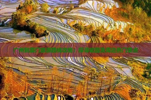 广州到厦门毓园哪里玩