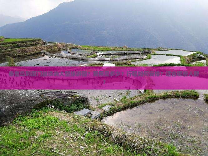 秦皇岛到厦门鼓浪屿大型旅游团