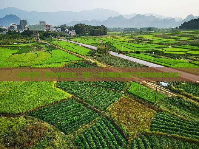 西宁去厦门怀远楼大型旅游团