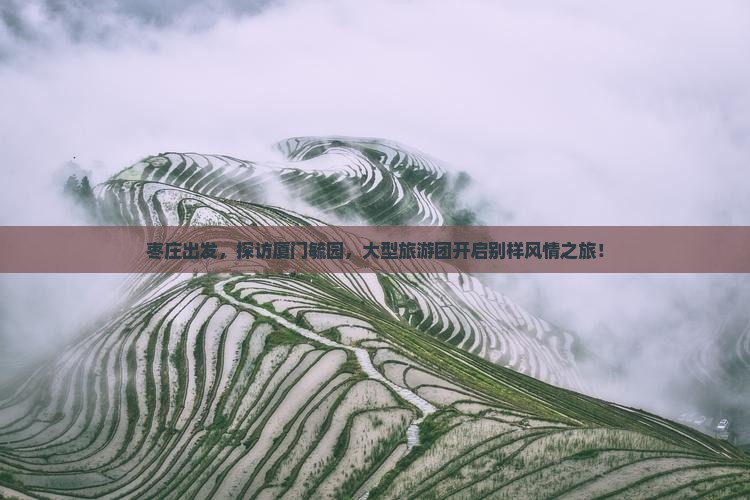 枣庄到厦门毓园大型旅游团