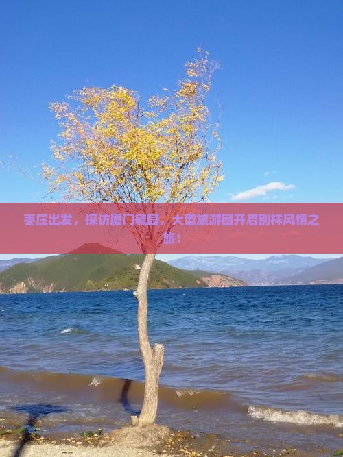 枣庄到厦门毓园大型旅游团