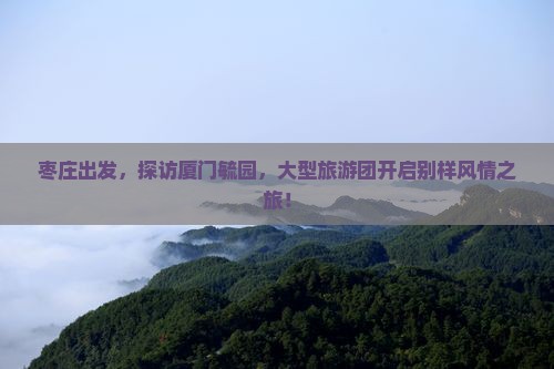 枣庄到厦门毓园大型旅游团