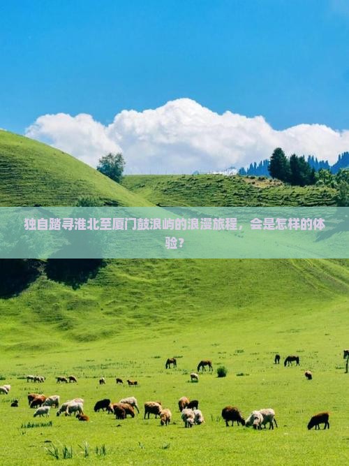 淮北到厦门鼓浪屿个人游