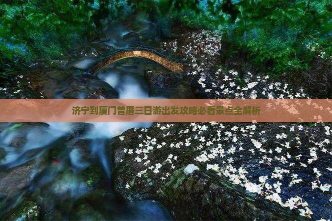 济宁去厦门曾厝埯三日游
